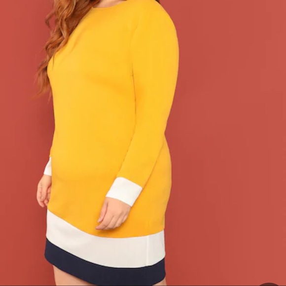 Color Block Dress - Picture 4 of 5